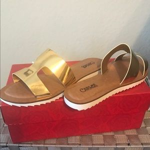 Carlos Santana Slides